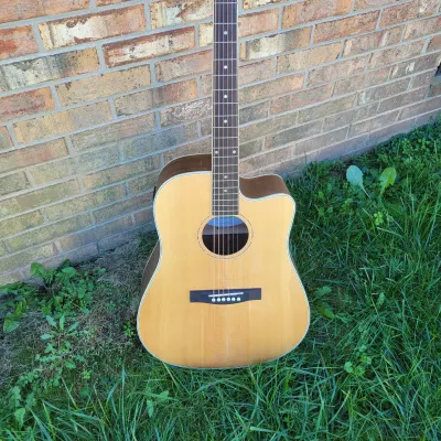2020 James Neligan Model ASY DCE Acoustic/Electric Guitar Great Player, Looks & Sound Blowout image 1