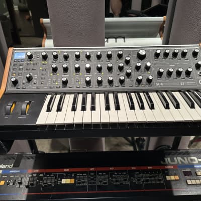 Moog Subsequent 37 & Little Phatty Road Case