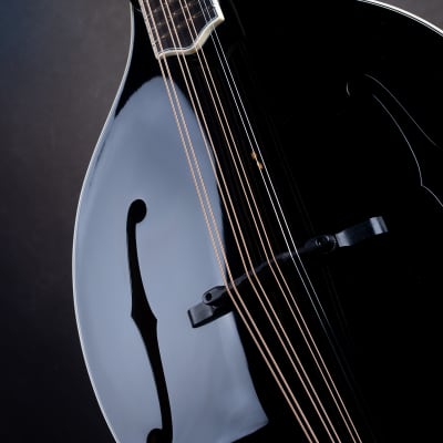 Bourgeois M5-O-BT Black Top Aged F-style Octave mandolin Brand New image 8