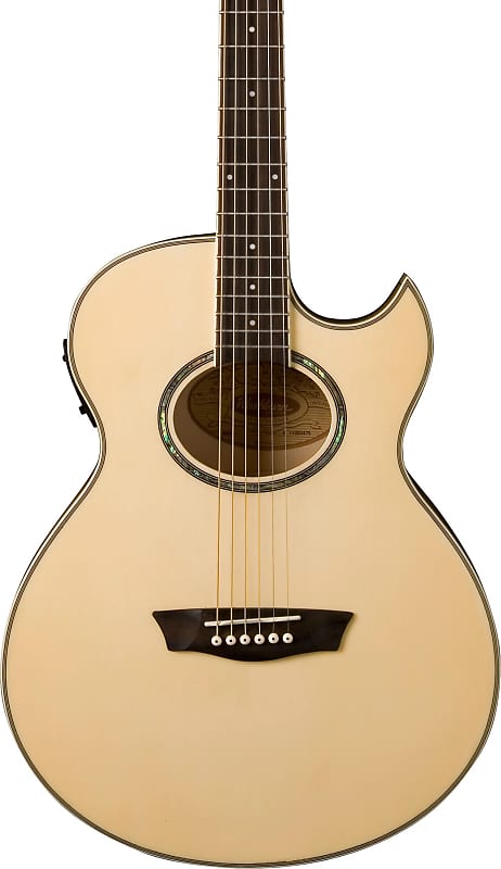 Washburn EA20 Mini Jumbo Acoustic-Electric Guitar, Spruce Top | Reverb