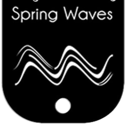 Tiptop Audio Spring Waves ZDSP Cartridge