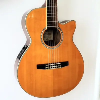 Ibanez Salvador Classical AEG10NE Cutaway Built-in Electronics w/ HSC Hardshell Case. for sale