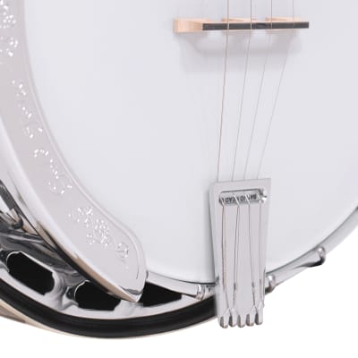 Gold Tone PS-250/L Plectrum Special Bell Brass Tone Ring 4-String Banjo w/Hard Case For Lefty Player image 5