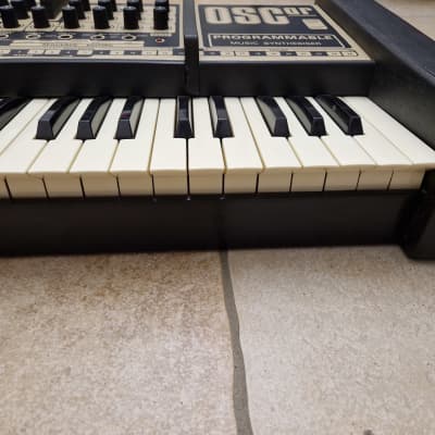 Oxford Synthesizer Company OSCar: 110 volts, No Midi, Serviced in 2017, Fully working image 15