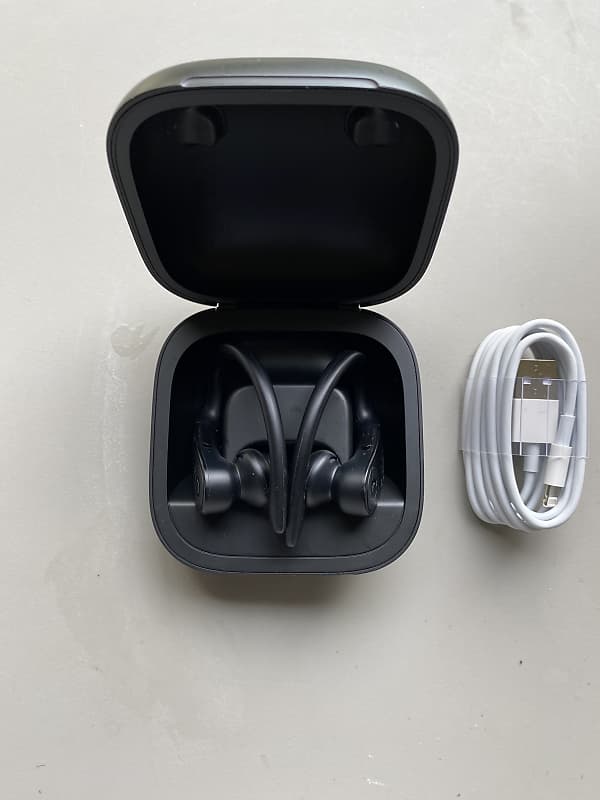 Beats by Dre Powerbeats Pro A2048 Wireless Earbuds  			