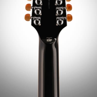 ESP LTD TL-12 Thinline Acoustic-Electric Guitar, 12-String image 8
