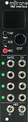 MICHIGAN SYNTH WORKS MBRANE YARNS BLACK : B-STOCK : [DETROIT MODULAR] image 1