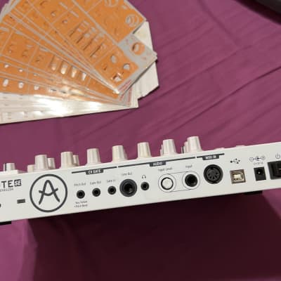 Arturia Microbrute SE 25-Key Synthesizer image 3