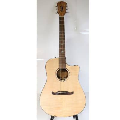 フェンダー エレアコFISHMAN T-BUCKET-300CE 最終値下げ！ 楽器