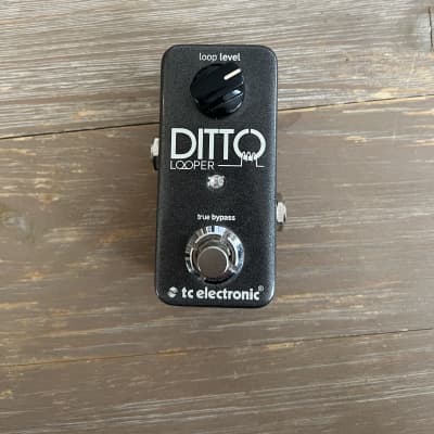 TC Electronic Ditto Looper | Reverb