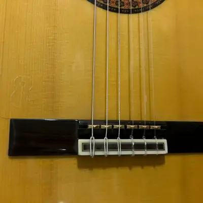 Flamenco Guitar Raimundo 646-E | Reverb