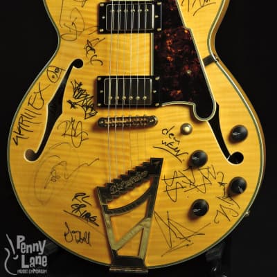 D'Angelico EX-SS 2016 Okeechobee Music & Arts Festival Signed Electric Guitar With Case image 3