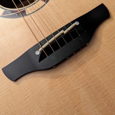 Takamine TSF-48C Acoustic/Elec. 2019 package, w/case, setup review, & shipping image 3