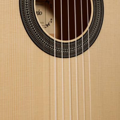 Raimundo 133 Ebano Blanco Classical Guitar White Ebony Cedar image 14