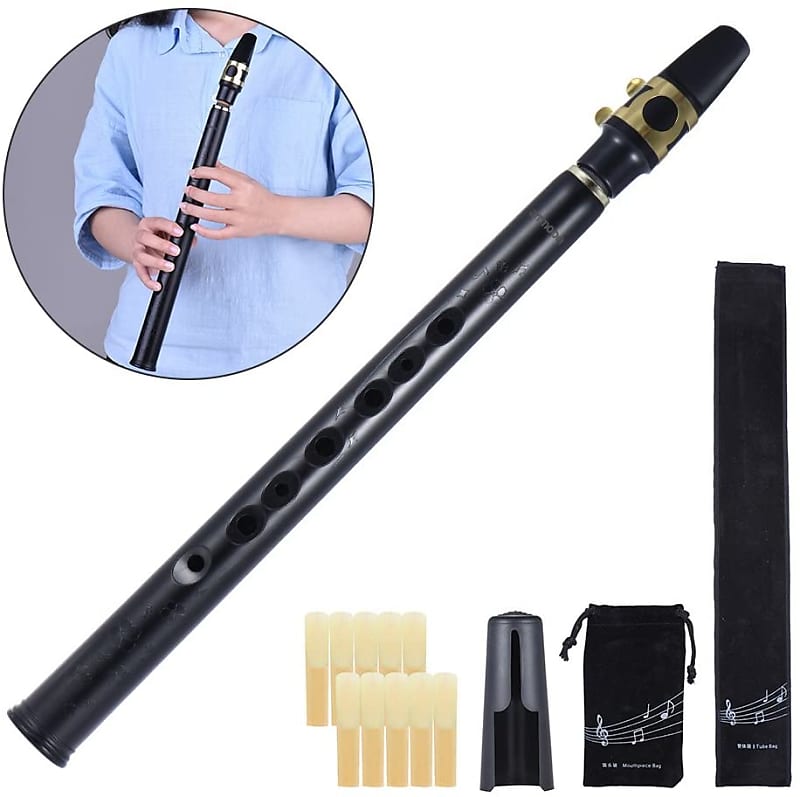Pocket Saxophone with Mouthpiece Reeds Carrying Bag Fingering Chart for  Kids