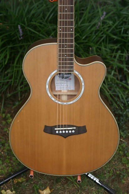 Tanglewood Evolution TSF CE N