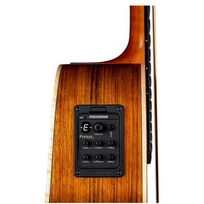 Luna Vista Bear Bass Tropical Wood Acoustic/Electric w/Case image 5