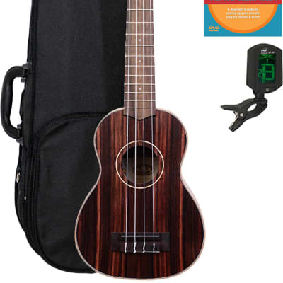 Kala KA-EBY-S Striped Ebony Soprano Ukulele w/ Gig Bag