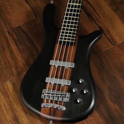 Warwick Custom Shop Custom Order Streamer LX 5st Natural