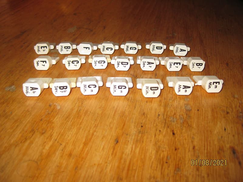 Oscar Schmidt Autoharp Buttons for 21 Chord Models Cosmetic Reverb