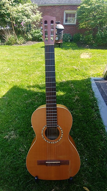 Art and lutherie ami nylon new arrivals
