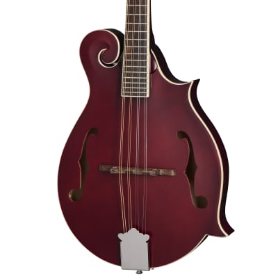 [美品][激レア] Kentucky Mandlin KM-805 ケース付き Kentucky KM-805 Artist F-model Mandolin | Reverb