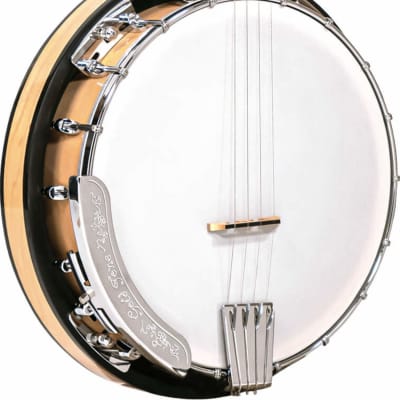 Gold Tone CC-Plectrum Cripple Creek 4-String Banjo w/ Gig Bag image 2