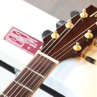 MINTY! 1999 McCollum Grand Auditorium Natural Italian Spruce Top Cocobolo Back & Sides! + Calton Case image 11
