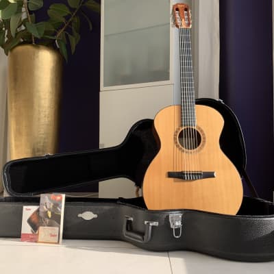 2009 Taylor NS24e - Natural Satin | USA Crossover Wideneck