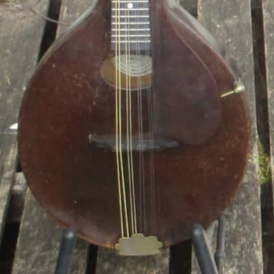 Gibson A Junior mandolin, snakehead, 1927 Bild 2