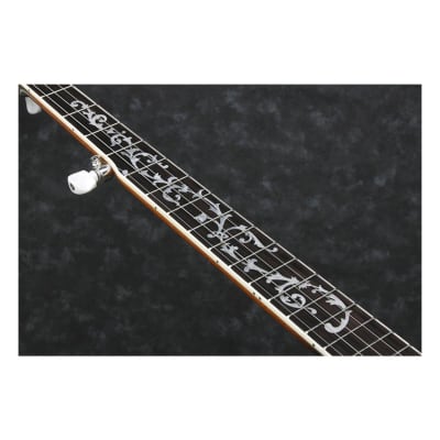 Ibanez B300 5-String Banjo, 22 Frets, Mahogany Neck, Rosewood Fretboard, Abalone Resonator Binding image 15