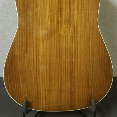 Eastman AC-420 with Hard Shell Case image 7