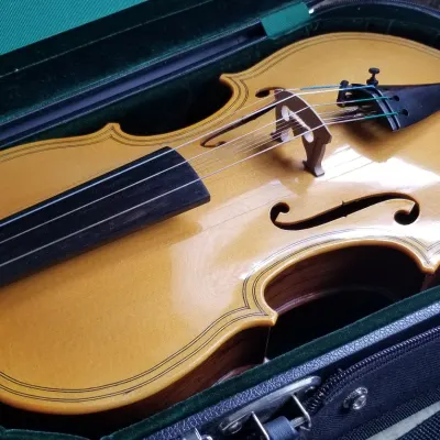 Violin 4/4  8 string Wulffenstajn madagascar Rosewood 2021 for sale