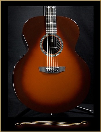 Rainsong jm1000 new arrivals