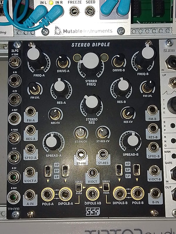 Steady State Fate Stereo Dipole