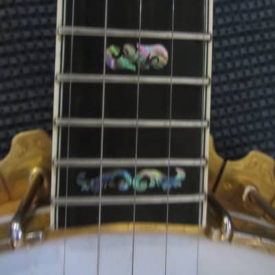 Ode Banjo 5 String w/Case image 7
