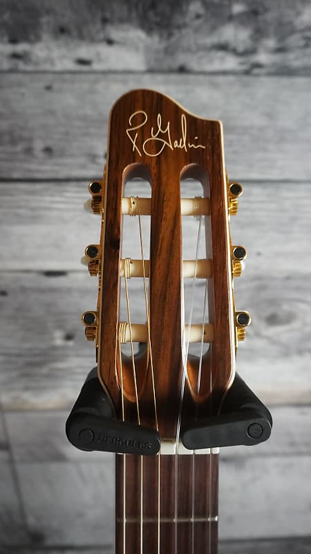 Godin Presentation QIT | Reverb