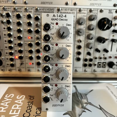Doepfer A-142-1 Voltage Controlled Decay/Gate | Reverb