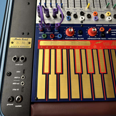 Buchla Music Easel 50 Anniversary image 7