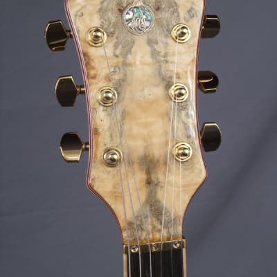 Alembic Further Buckeye burl top and back/gold frets and hardware/ and loaded  with lots of  options image 5
