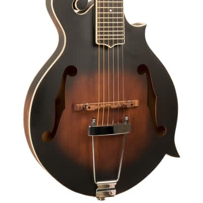 NEW Gold Tone F-6 Manditar WITH Matching Light Hard Case- 6 String Mandolin image 4