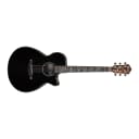 Ibanez AEG550 Acoustic Electric Guitar, Bocote Back & Sides w/ Spruce Top, Black