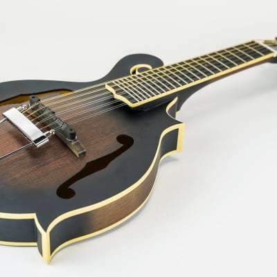 Gold Tone I-F12 Gold Tone F-Style 12-String Mando-Guitar w/ Foam Case image 13