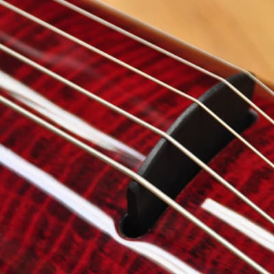 NS Design WAV5c Cello Transparent Red Gloss image 5