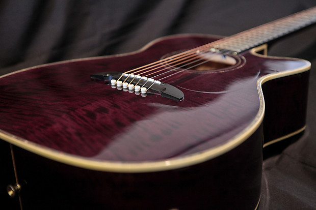 Takamine eg569c 2025