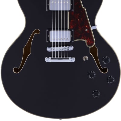 D'Angelico Premier DC Semi-Hollow Electric Guitar w/Stopbar Tailpiece Black Flake w/Gig Bag, New, Free Shipping image 6