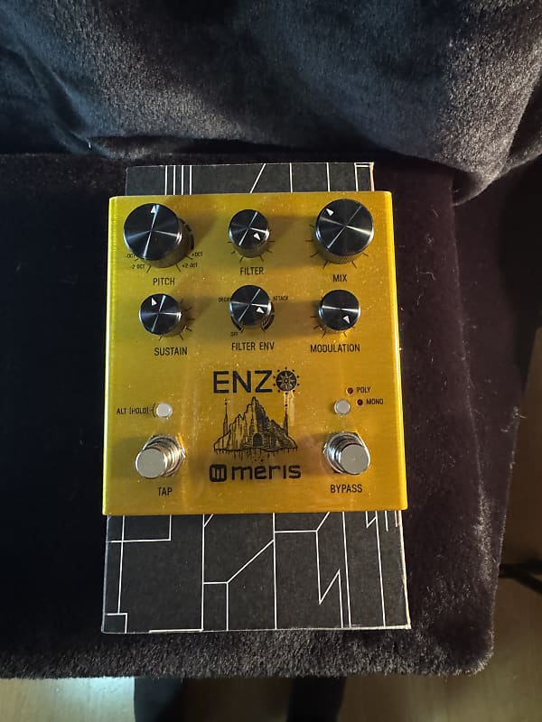 Meris Enzo