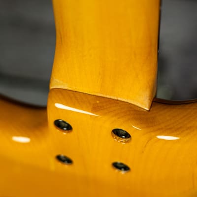 Pedulla Thunderbolt 5-String image 14