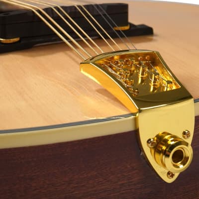 Gold Tone OM-800+ Octave Mandolin image 2