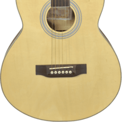 Chateau F110 - acoustic for sale